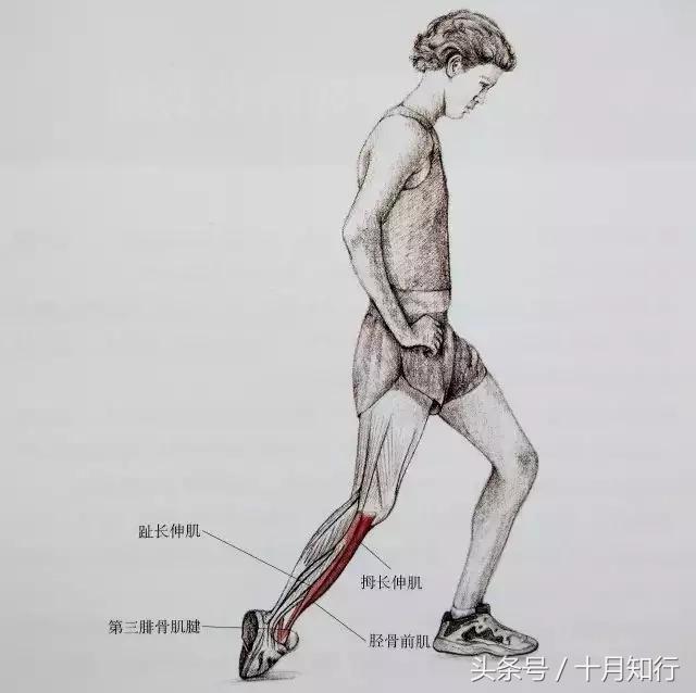 全套小腿拉伸动作视频,拉伸小腿正确方法让腿变细