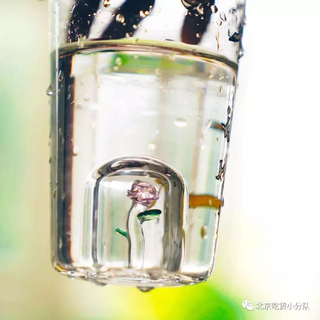 想买高颜值玻璃杯有什么,玻璃杯哪款最值得购买