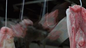 99%的人还不知道的秘密,99%的人都不知道的动画片秘密