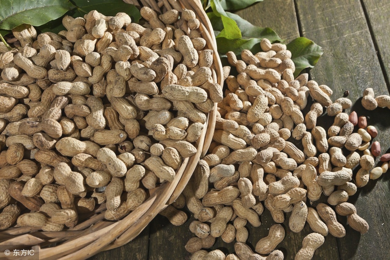 发霉食物危害肾脏,发霉食物里的致癌物质