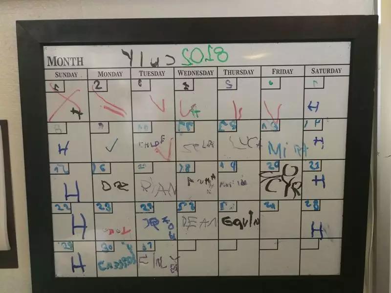 中国园长在美国｜亲身感受中美幼儿园的不同特色！