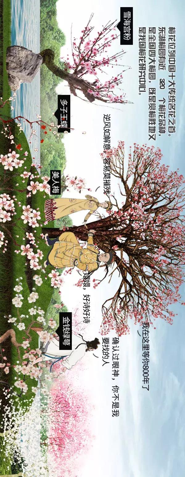 清凉画画法,清凉夏日主题绘画怎么画