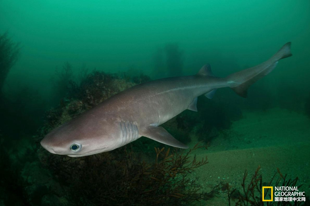 一支50g的防晒霜可以用多久,一支防晒霜需要多少帽子