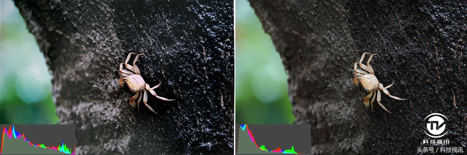 爱普生xp245打印照片,爱普生xp55高清照片打印