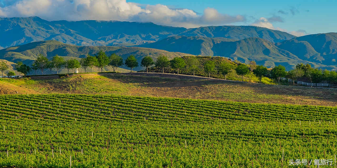 畅游加州：12个酒乡目的地，爱酒的你一定可以找到最适合你的酒乡