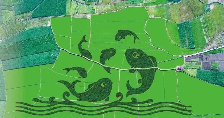 下一站溆浦南站,下一站怀化南站