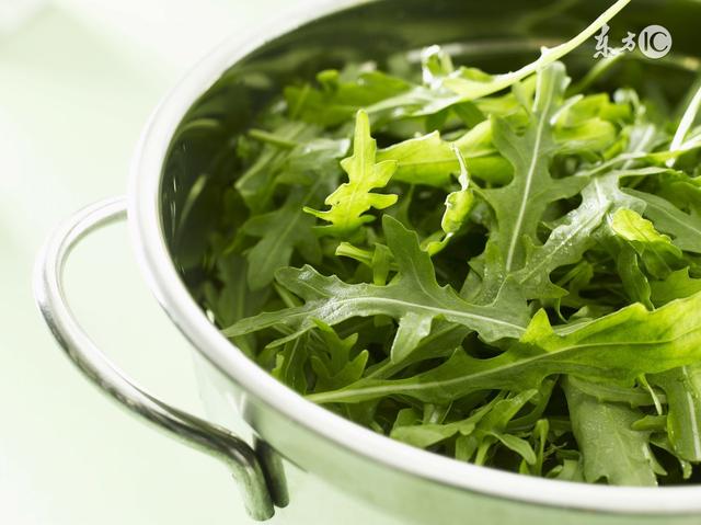 十大能食用的野菜,夏天的野菜有哪些