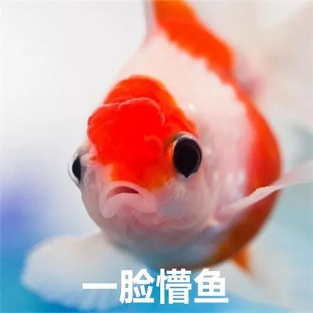 最新星座水逆,最新一波水逆