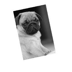 html5画布设计代码大全,fabric.js如何用于前端项目中