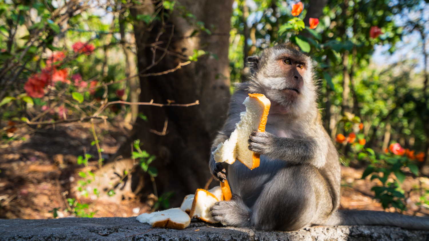 巴厘岛吃喝攻略,巴厘岛闺蜜