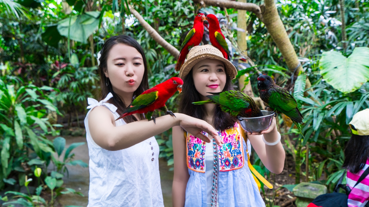 去巴厘岛跟团好不好,巴厘岛跟团游最佳攻略
