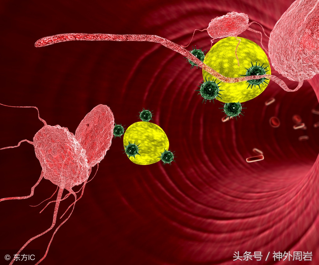 细胞免疫治疗有用吗,脑瘤可以用免疫治疗吗