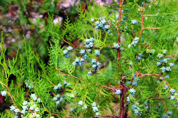 让人震撼的大自然景点,京西大山自然美景