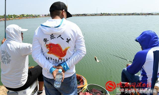 合阳洽川黄河湾,合阳钓鱼大赛