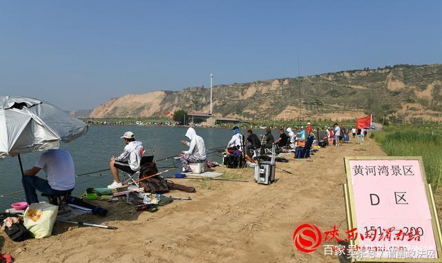 合阳洽川黄河湾,合阳钓鱼大赛