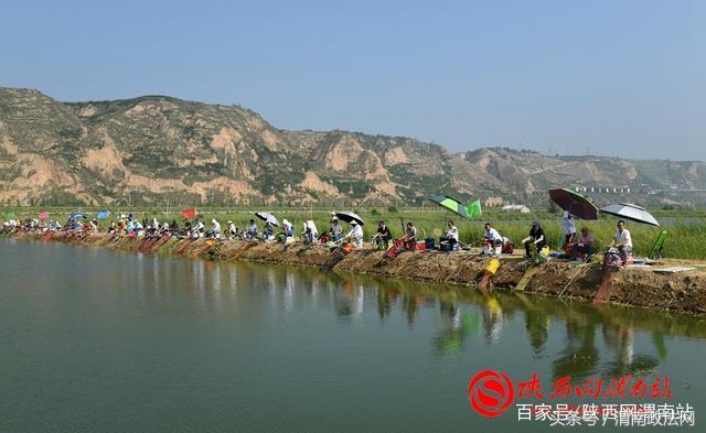 合阳洽川黄河湾,合阳钓鱼大赛