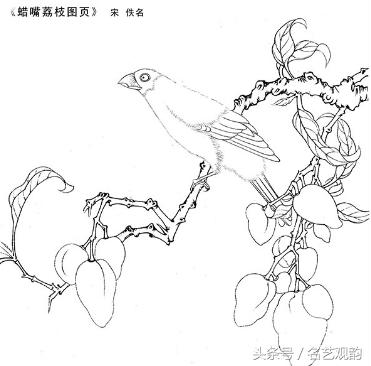 宋画工笔画底稿图文,宋画工笔白描最好的学习素材