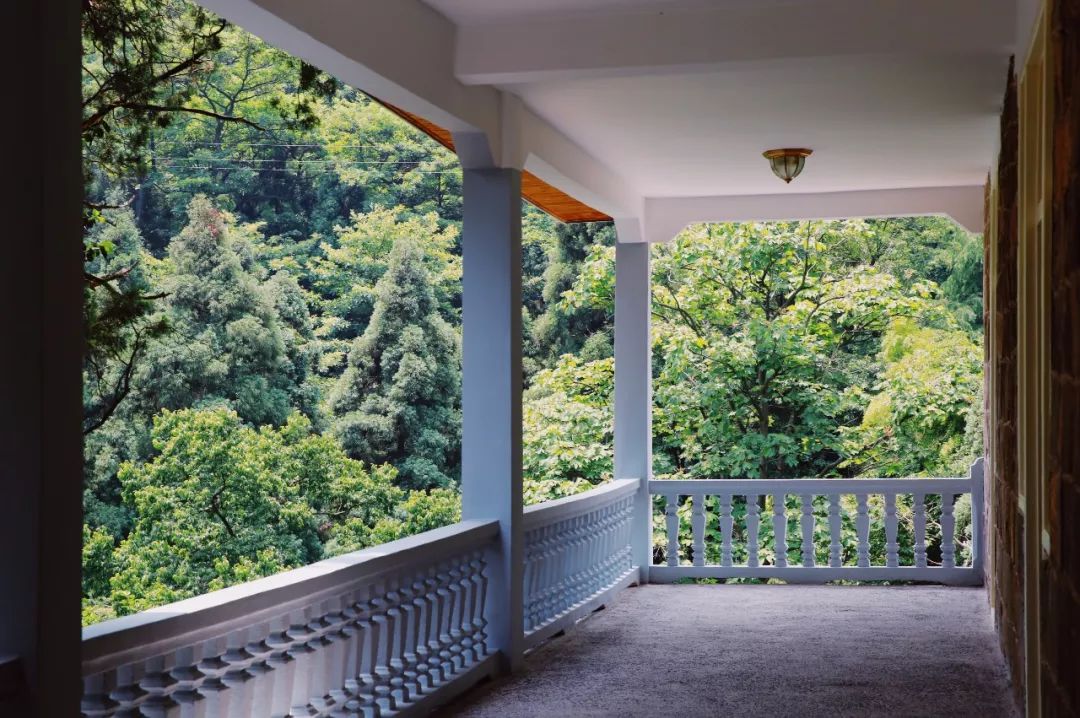 都知道莫干山民宿火，但你知道莫干山的第一家民宿是哪个吗？