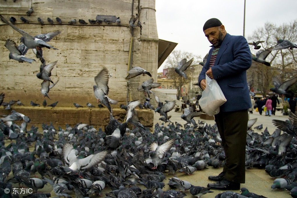 最挣钱的五大项目,未来五大赚钱项目
