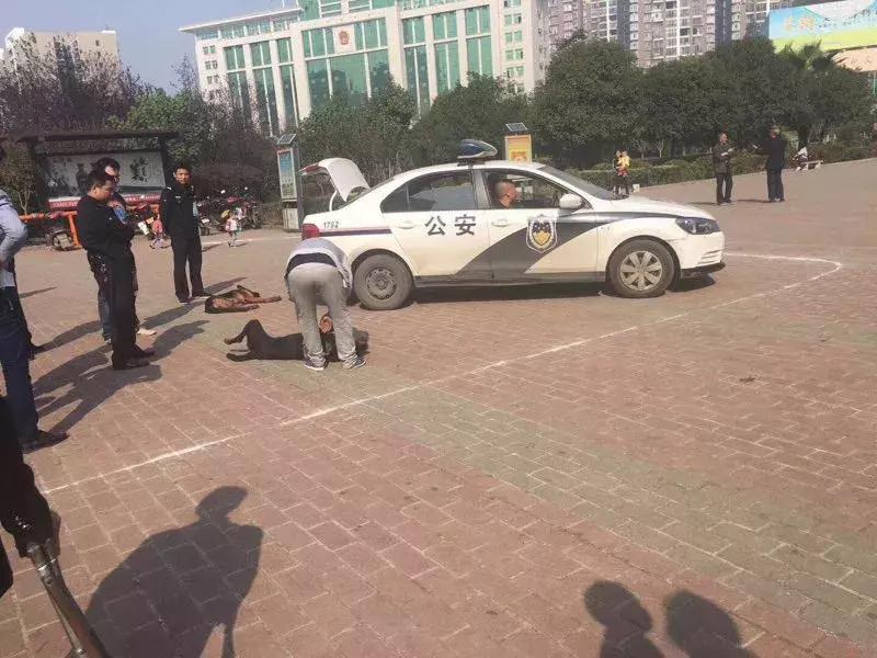 被狗紧咬怎么办,被狗咬住怎样才能挣脱