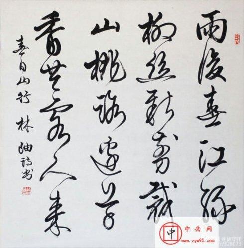 野草岁时记——今日之星林岫（野草诗社名誉社长）