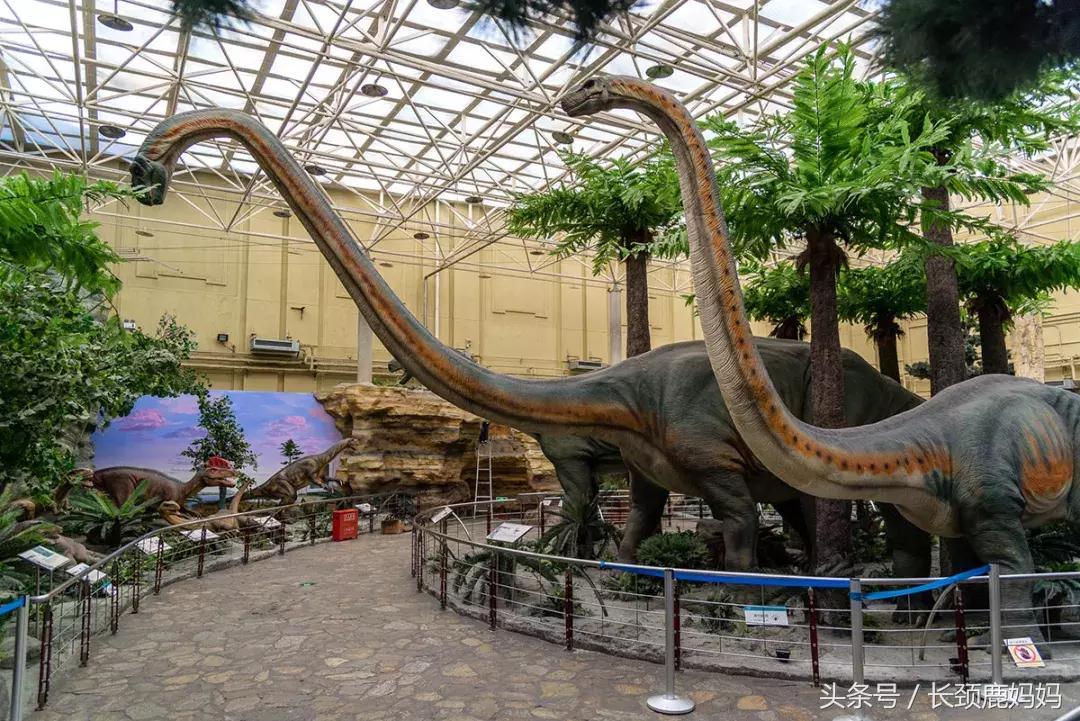 带孩子去北京不建议去哪,带孩子去北京没预约去哪玩