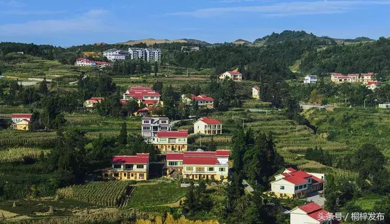 贵州桐梓县好玩的,好玩的地方桐梓