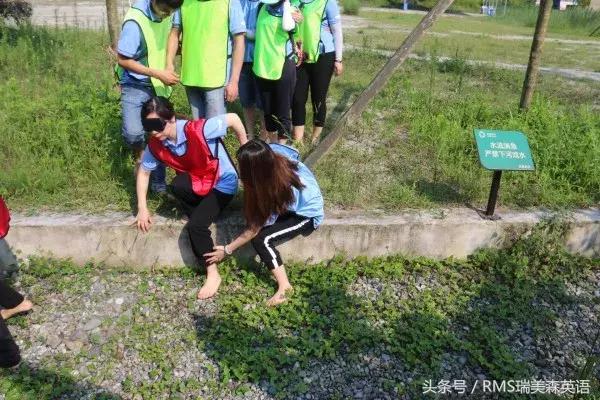 鎴愰兘鍥介檯鏁欒偛鏈烘瀯,鍥介檯鏁欒偛鏈烘瀯