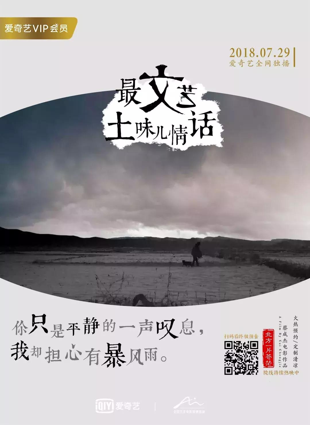 沈腾的资产 (沈腾身家大概多少亿)