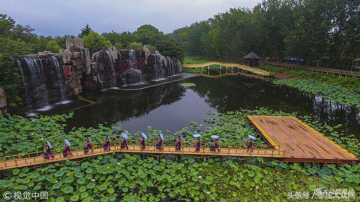 滕州微山湖红荷湿地摄影攻略,滕州微山湖湿地红荷宣传片