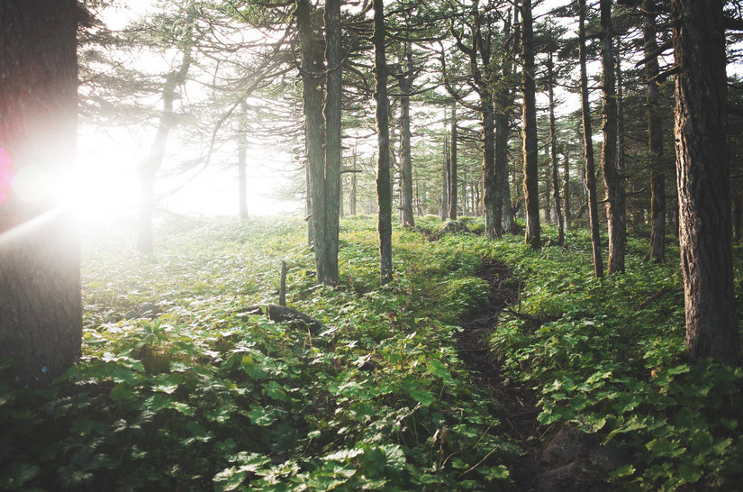 鳌太轻量化装备,夏季鳌太装备
