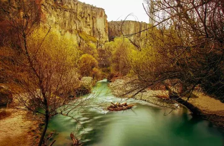 美到窒息的地球上,美到窒息的芝加哥