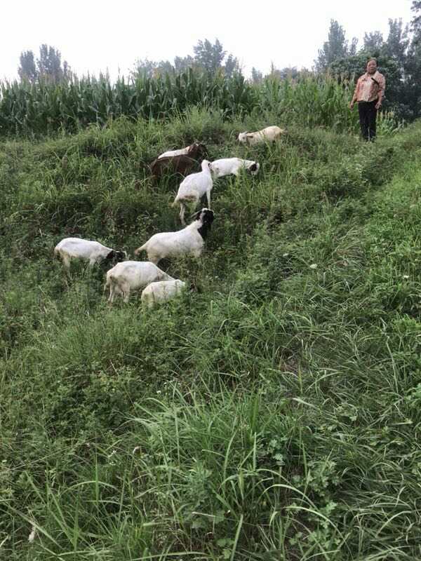 裕食记方城炝锅烩面团购,裕食记方城炝锅烩面