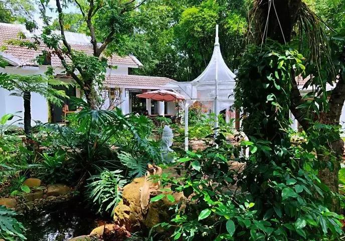 深圳下午茶高端餐厅有哪些,深圳最好的下午茶餐厅