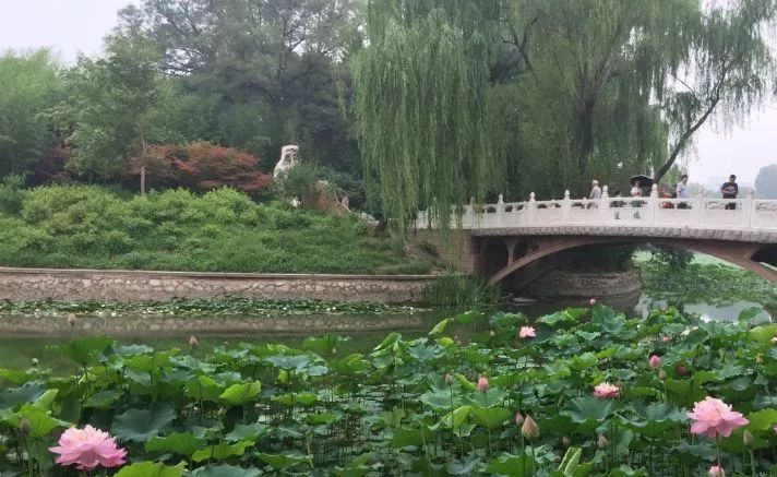 北京哪些公园对18岁以下免费,北京值得去的免费公园排名