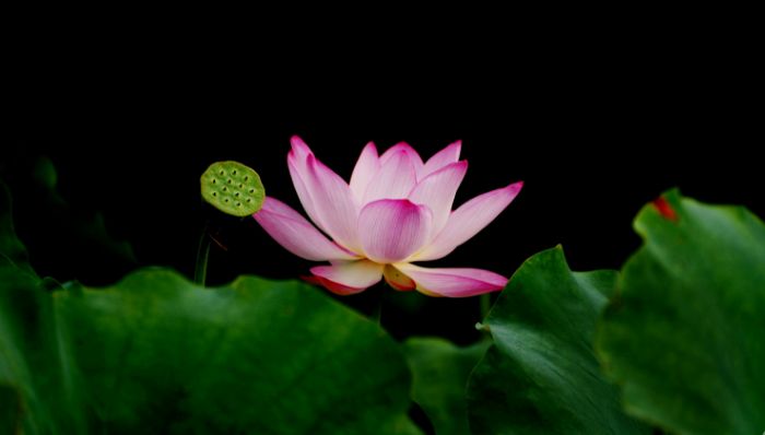 在路上迷人的风景,在路上的美景