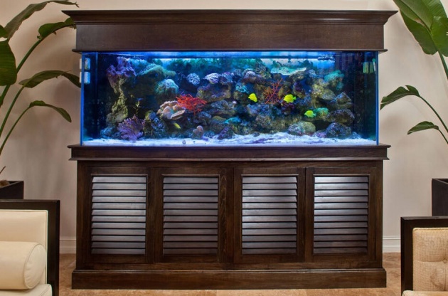 家庭鱼缸摆放风水讲究图片,风水鱼缸的摆放位置店铺