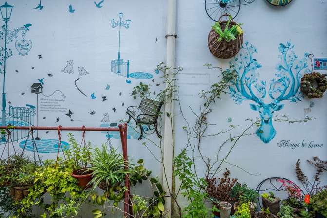 浙江省遂昌县有哪些地方,遂昌避暑好玩的地方有哪些