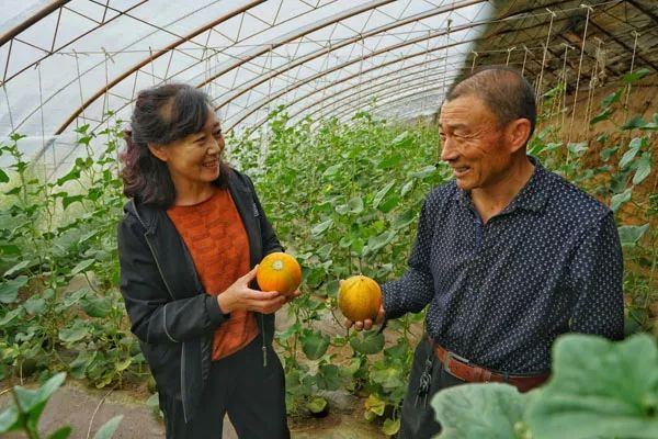 走遍天涯海角忘不了歌名叫什么,走遍天涯海角忘不了原唱