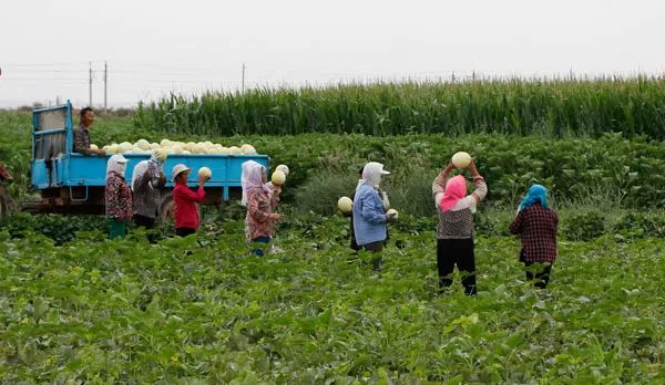走遍天涯海角忘不了歌名叫什么,走遍天涯海角忘不了原唱