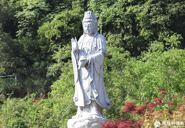 恭迎观世音菩萨诞辰视频,恭迎观音菩萨出家殊胜日