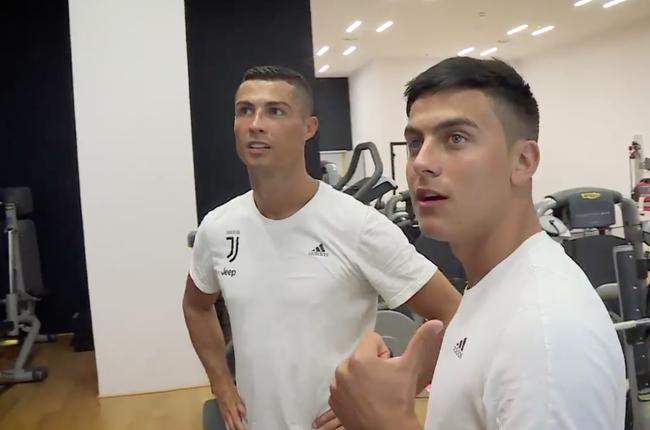 猫姐足球赛预测,猫姐竞彩推荐分析