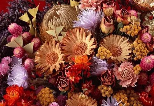 如何领略葡萄酒的魅力,如何品尝葡萄酒的果香