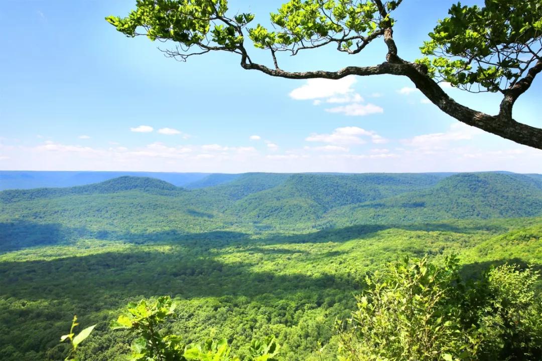 端午假期出游走哪儿这六条都别忘,端午节假期旅行