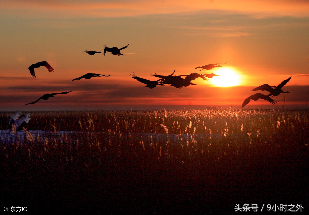 惠州黑排角海岸线,惠州盐洲岛最佳地点