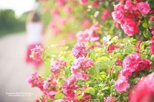 有深度的个性签名句子短句,简短精辟的个性签名语录