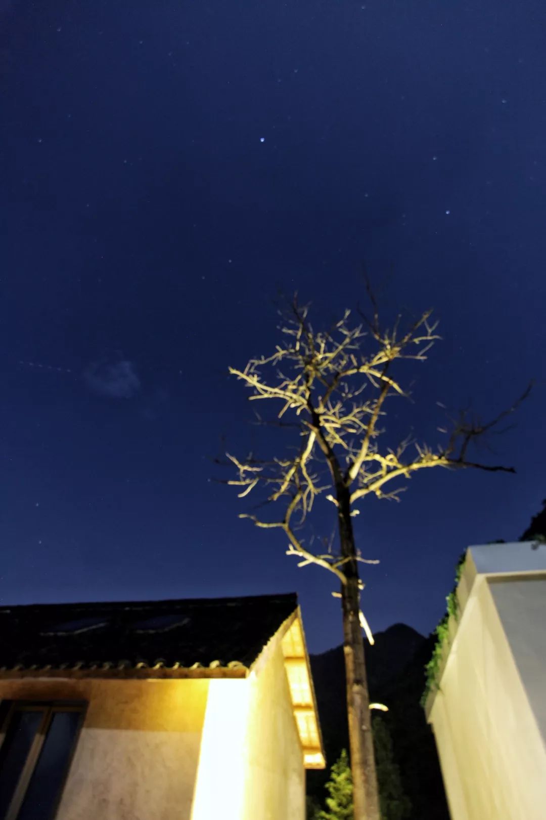 杭州城外一小时,觅一处隐于山中的静谧之地,带上TA发呆去!