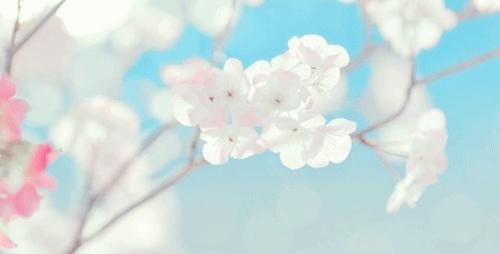 想开花店自己学花艺还是花钱去学,想开花店应该怎么学习花艺