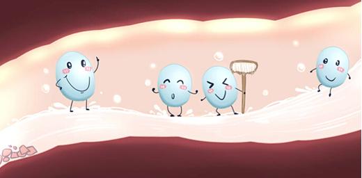 产苞乳酸菌——凝结芽孢杆菌，了解一下！