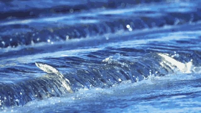 青海为什么频繁发生地震,青海人为什么长得好看